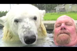 Conoce al único hombre capaz de nadar junto a un oso polar