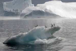 Hielo del Ártico alcanza su mínimo nivel histórico