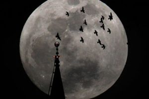 VIDEO: La ‘luna azul’ adornará la noche de hoy
