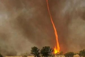 VIDEO: Impactantes imágenes de un tornado de fuego de 30 metros en Australia