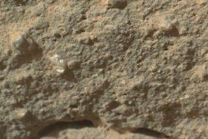 ‘Curiosity’ capta imagen de una ‘flor de Marte’