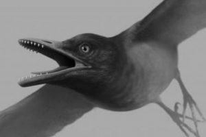 Descubren fósil de pájaro con dientes de ‘depredador’