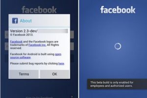 Facebook presentó su app para móviles