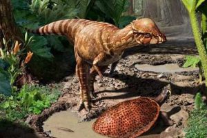 Descubren nueva especie de dinosaurio ‘cabezota’