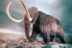 Científicos hallan mamut congelado con sangre y tejidos conservados