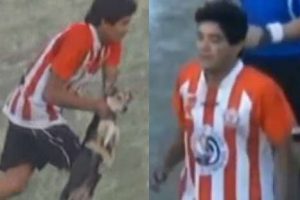 ¡Indignante! Futbolista argentino lanzó a un perro hacia la tribuna – VIDEO