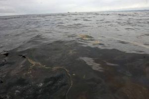 Doscientos barriles de petróleo fueron derramados en el mar de Piura