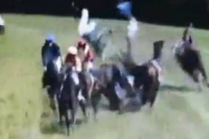 Dos caballos mueren tras chocar durante carrera hípica en Alemania – VIDEO