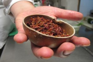 El boom de la comida mexicana a base de insectos