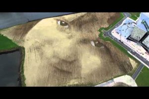 Impresionante: El inmenso retrato de una niña que se aprecia desde el cielo  – VIDEO