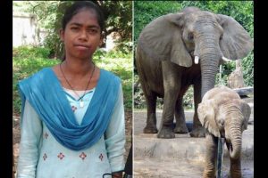 ¡Niña hindú puede hablar con los elefantes!