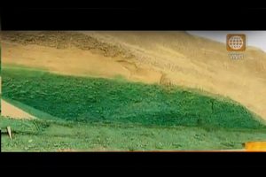 Municipalidad de Lima pintó la Costa Verde de … Verde – VIDEO