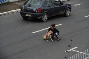 Conmovedor: niño arriesga su vida para salvar a una cachorrita – FOTOS