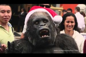 Conoce al gorila ‘navideño’ que se lució como Papa Noel en Hollywood – VIDEO