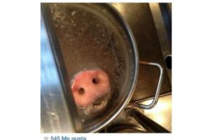 Chef argentina es duramente criticada por subir la foto de un cerdo a Instagram