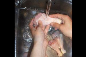 ¡Peligro!: Lavar el pollo puede perjudicar tu salud (VIDEO)