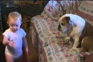 Divertido: Una bebé discute con su perro (VIDEO)
