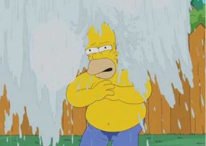 Homero Simpson cumple el reto del cubetazo de agua helada (VIDEO)