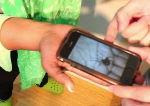 No te pierdas la broma de la araña saliendo de la pantalla de un celular (VIDEO)