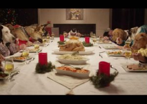 ¿Te imaginas una cena navideña entre trece perros y un gato? (VIDEO)