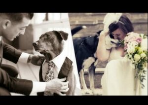 12 imágenes que te harán querer llevar a tu perro el día de tu boda (FOTOS)