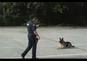 La habilidad de este perro policía te sorprenderá (VIDEO)