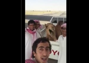 Mira cómo este camello se une a la moda de los selfies y hasta sonríe (VIDEO)