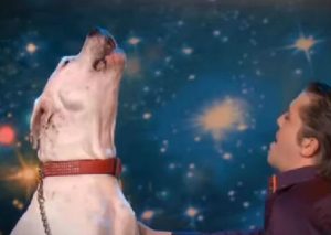 Mira al perro que canta ‘I will always love you’ (VIDEO)