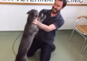 Mira el emotivo reencuentro de un perro y su dueño luego de 6 meses (VIDEO)