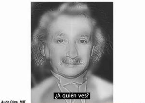 ¿A quién ves, a Marilyn Monroe o a Albert Einstein? Mide tu visión con este test (VIDEO)