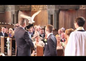¡Momento mágico! Búho lleva anillos en una boda, ante la sorpresa de todos (VIDEO)