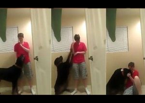 Entra en crisis y se golpea… hasta que su perro hace algo conmovedor (VIDEO)