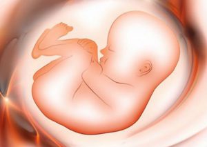 Mira cómo se desarrolla un bebé en el vientre de una madre (VIDEO)