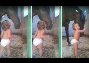 Esta niña abrazando a un caballo está enterneciendo las redes sociales (VIDEO)