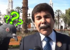 Alcalde de Arequipa es ‘trolleado’ olímpicamente por unas palomas mientras era entrevistado (VIDEO)