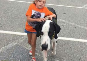 YouTube: Conoce la tierna historia de esta niña y su perro que la ayuda a caminar