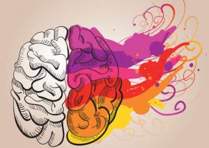 ¿Qué parte de tu cerebro te domina? Descúbrelo en este test