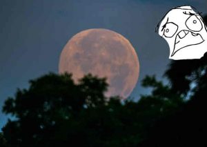 YouTube: Así se vio la ‘Luna Fresa’,  increible fenómeno que ocurre cada 50 años -VIDEO