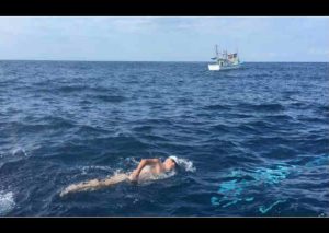 Facebook:  Cruzó en 9 horas mar de tiburones y esto pasó- VIDEO