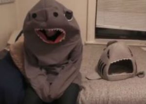 YouTube: Quería jugar con su gato vestido de tiburón y esto pasó