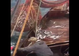 YouTube: Esta es el pesca más extraña que verás
