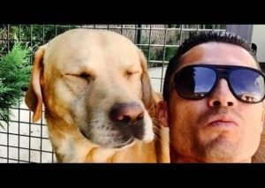 Christiano Ronaldo salvó un albergue con 80 perros