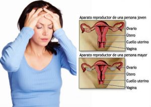 ¿Cuándo te dará la menopausia? ¡Dependerá del inicio de tu menstruación!