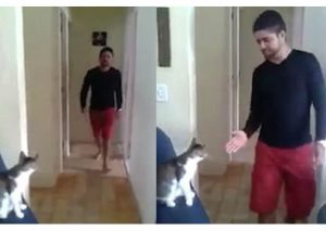 Twitter: Dueño y su gato se saludan de forma muy peculiar (VIDEO)
