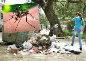 Viral: Le picó un mosquito al botar la basura y tuvo terrible consecuencia