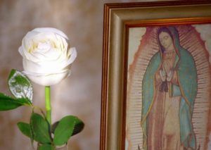 ‘La Rosa de Guadalupe’ es considerada la serie más larga del mundo