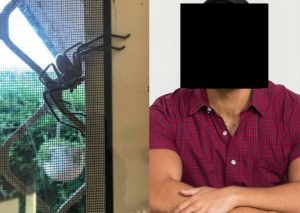 Araña gigantesca asombra a famoso conductor de TV y causa polémica en redes (FOTO)