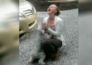 Perrito llora y se desmaya de alegría al reencontrarse con su dueña (VIDEO)