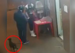 Facebook viral: Perrito roba comida a clientes despistados (VIDEO)