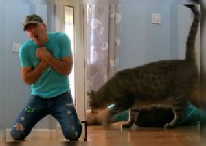 Facebook Viral: Hombre finge estar muerto para ver la reacción de su gato y pasó esto (VIDEO)